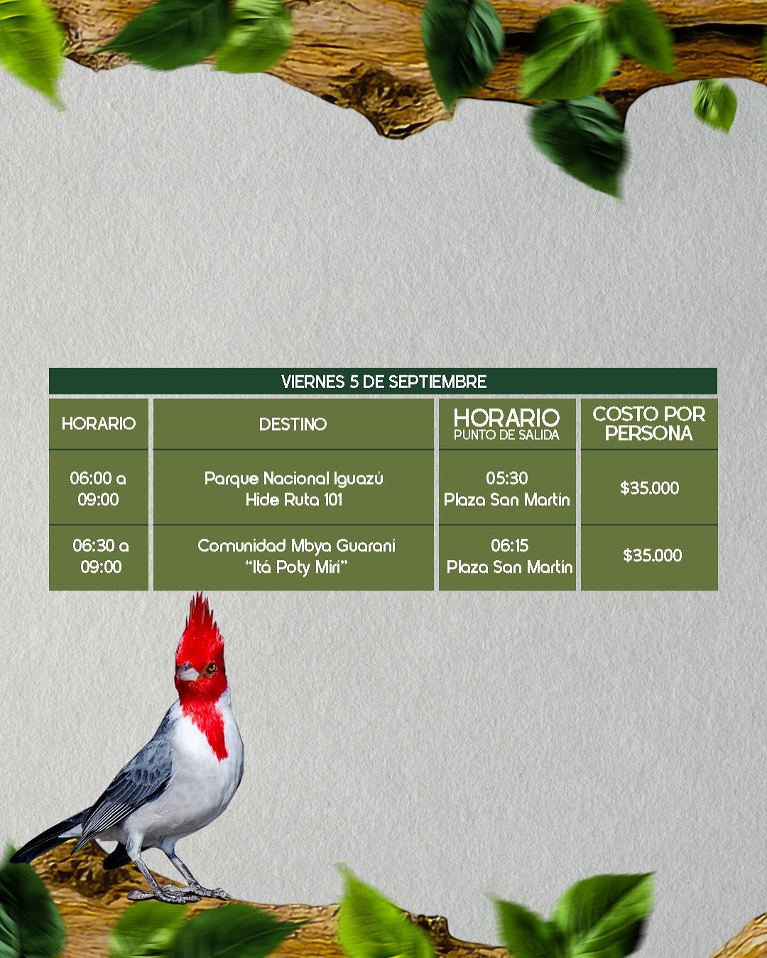 🌿✨ ¡Viví la naturaleza de Misiones como nunca antes!Durante Volar 2025, sumate a las salidas de (1)