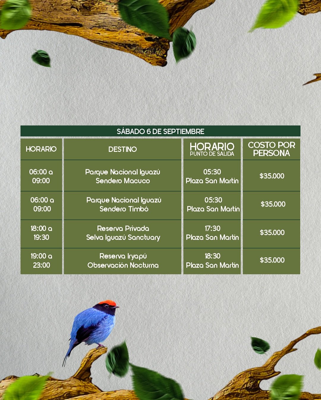 🌿✨ ¡Viví la naturaleza de Misiones como nunca antes!Durante Volar 2025, sumate a las salidas de (2)