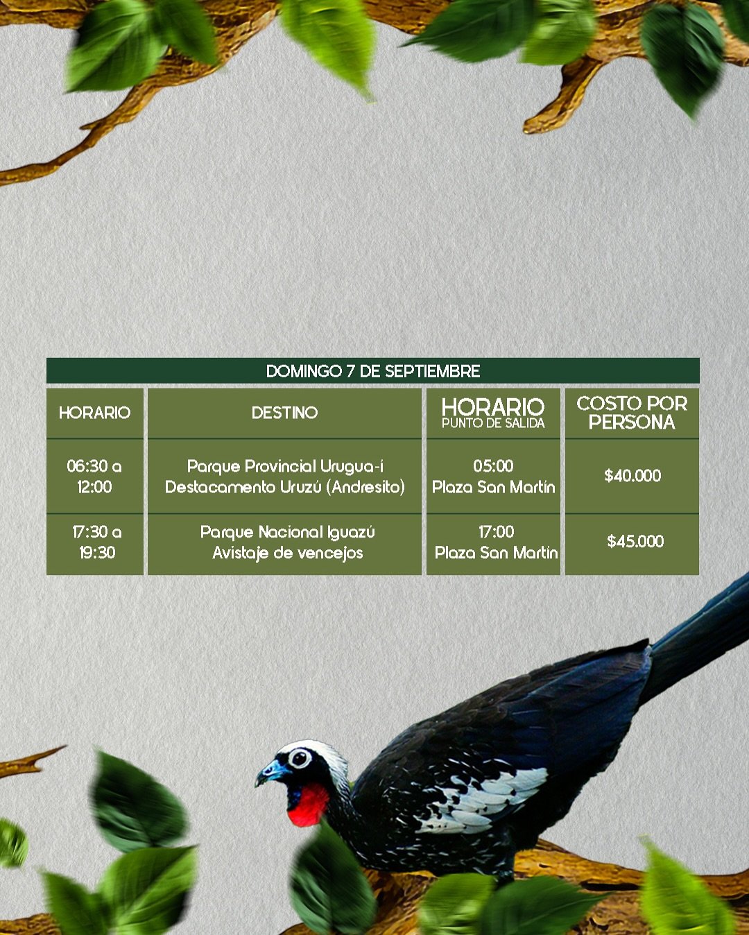 🌿✨ ¡Viví la naturaleza de Misiones como nunca antes!Durante Volar 2025, sumate a las salidas de (3)