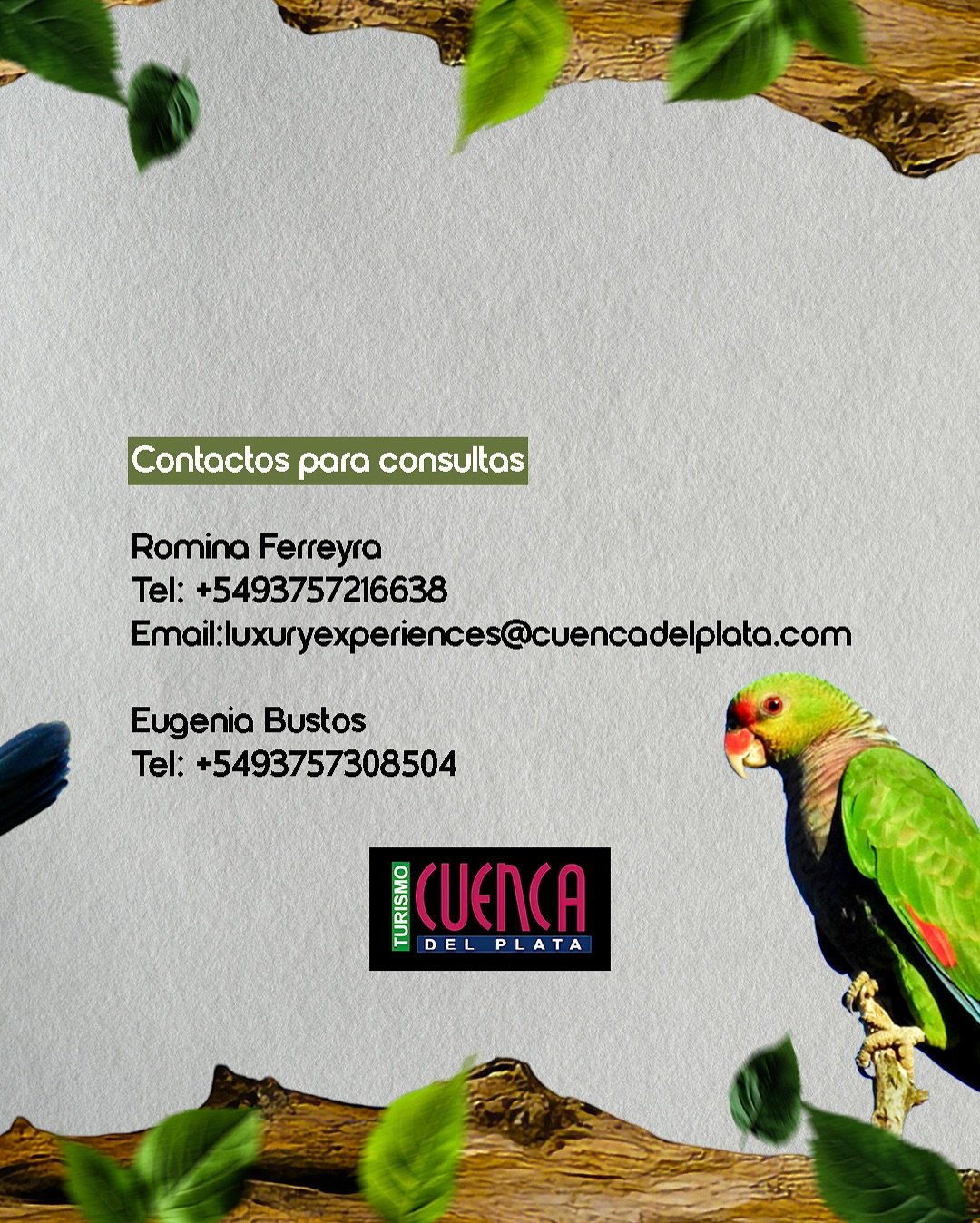 🌿✨ ¡Viví la naturaleza de Misiones como nunca antes!Durante Volar 2025, sumate a las salidas de (4)