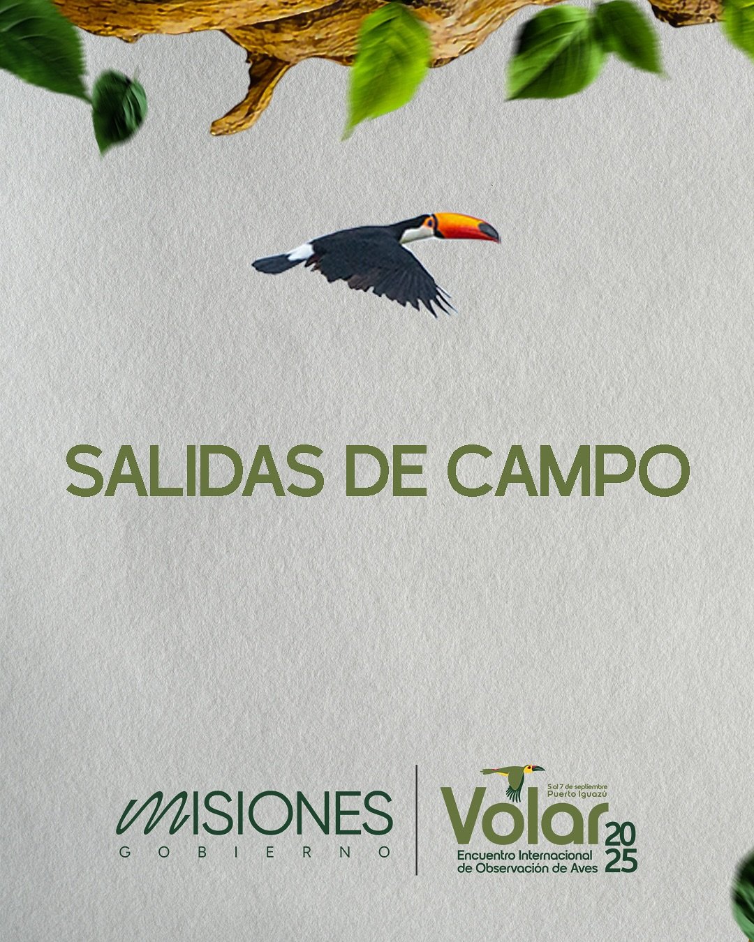 🌿✨ ¡Viví la naturaleza de Misiones como nunca antes!Durante Volar 2025, sumate a las salidas de