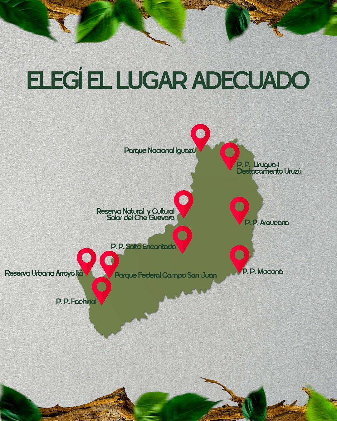 🦜 Si estás por dar tus primeros pasos en la observación de aves, este posteo es para vos.Desliz (1)