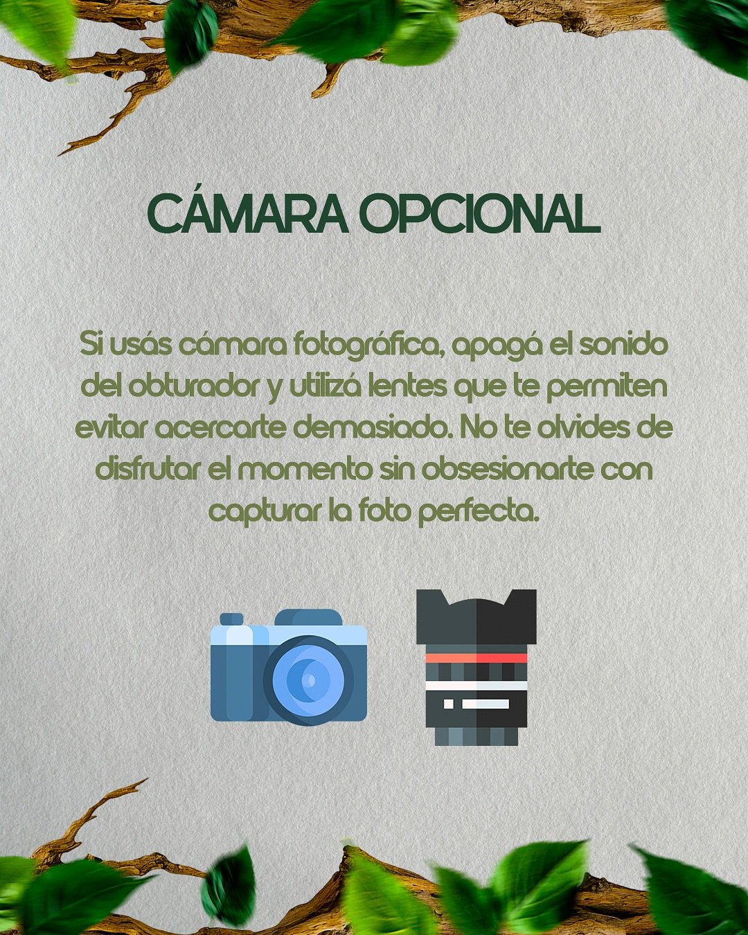 🦜 Si estás por dar tus primeros pasos en la observación de aves, este posteo es para vos.Desliz (10)