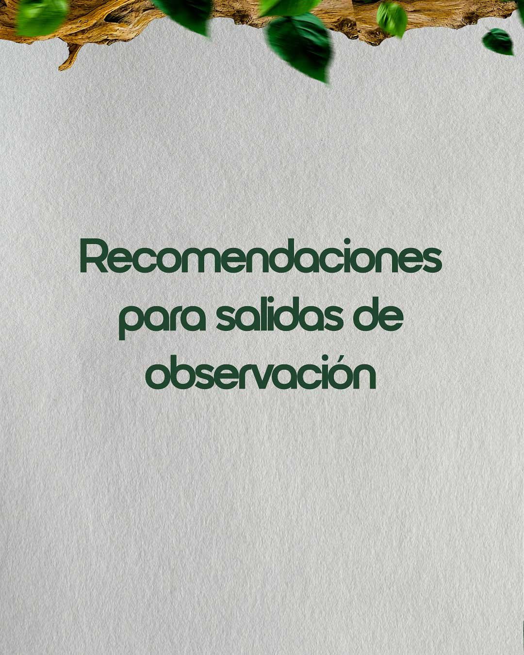 🦜-Si-estás-por-dar-tus-primeros-pasos-en-la-observación-de-aves,-este-posteo-es-para-vos.Desliz