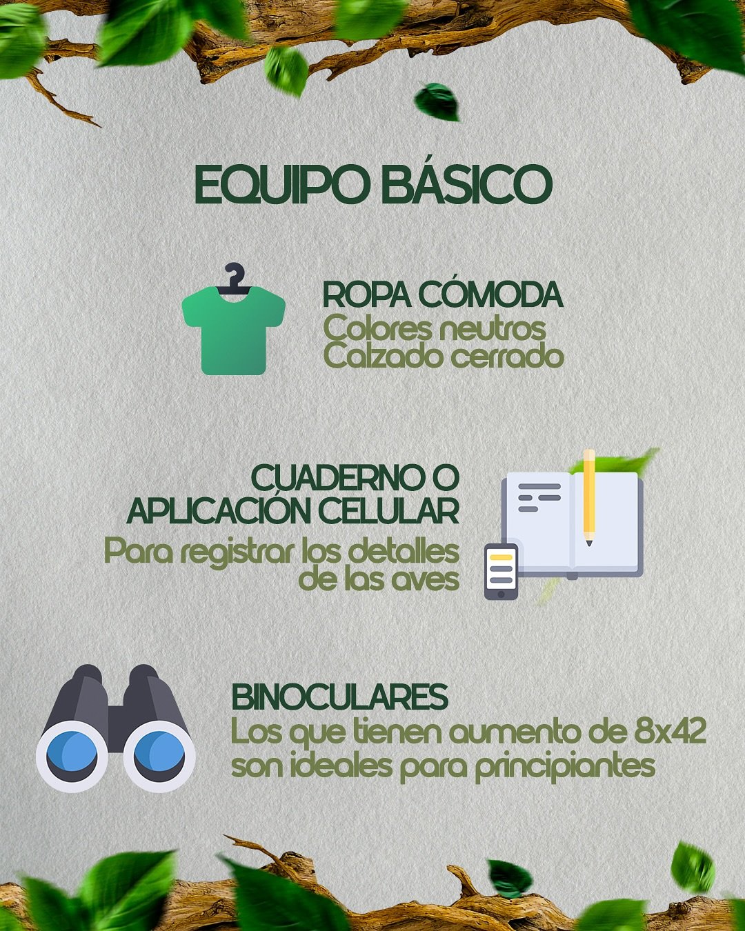 🦜 Si estás por dar tus primeros pasos en la observación de aves, este posteo es para vos.Desliz (2)