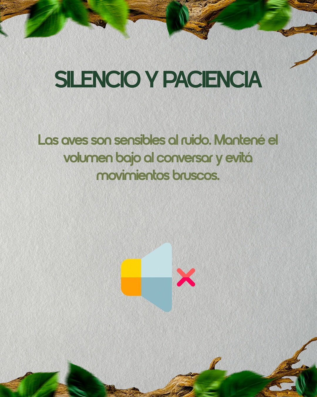 🦜 Si estás por dar tus primeros pasos en la observación de aves, este posteo es para vos.Desliz (3)