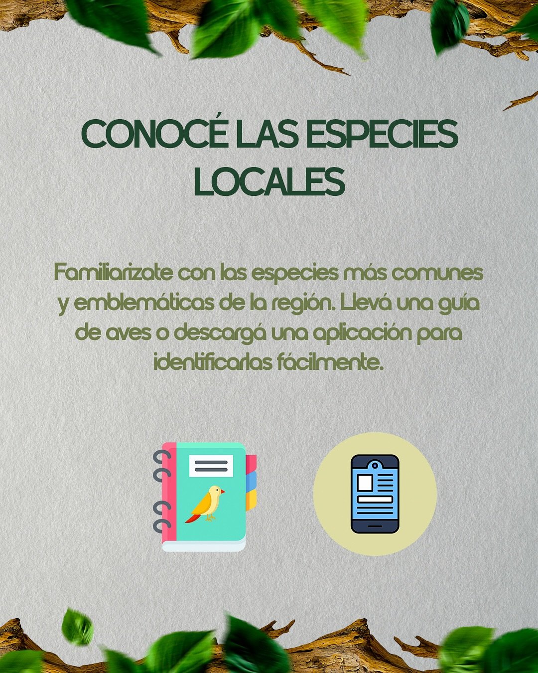 🦜 Si estás por dar tus primeros pasos en la observación de aves, este posteo es para vos.Desliz (5)