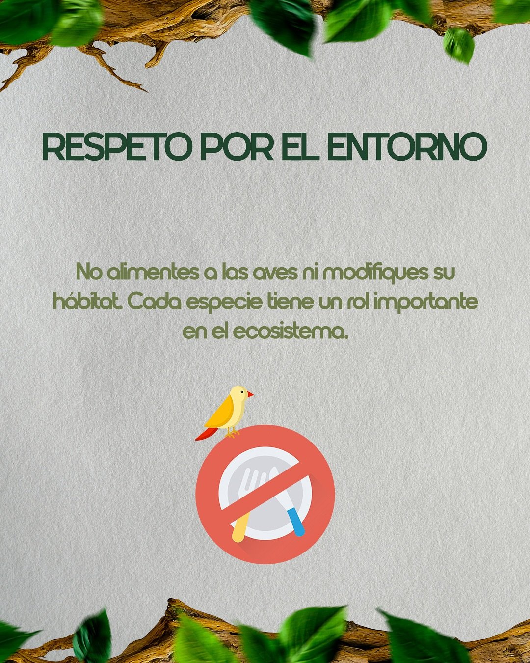 🦜 Si estás por dar tus primeros pasos en la observación de aves, este posteo es para vos.Desliz (6)