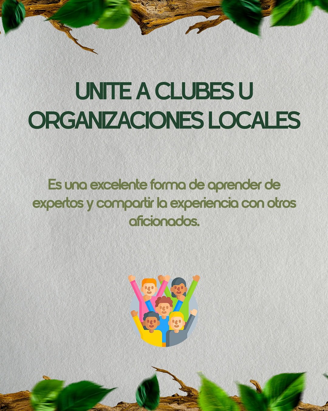 🦜 Si estás por dar tus primeros pasos en la observación de aves, este posteo es para vos.Desliz (8)