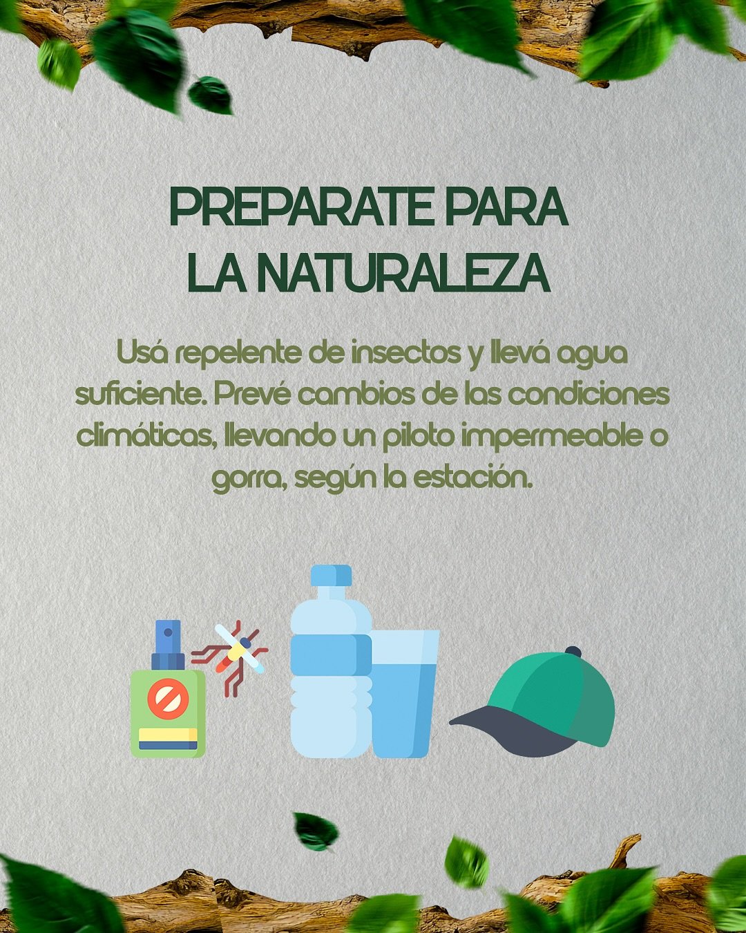 🦜 Si estás por dar tus primeros pasos en la observación de aves, este posteo es para vos.Desliz (9)