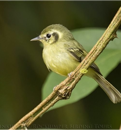 204884441 Dusan Brinkhuizen 204884441 Dusan Brinkhuizen