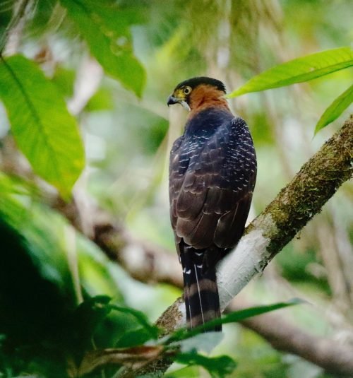 91913671 Timo Mitzen 91913671 Timo Mitzen