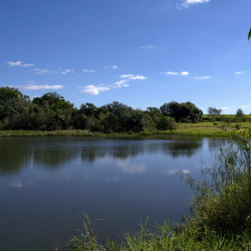 Posadas---Parque-de-la-Ciudad---©-Tatiana-R.-Berman