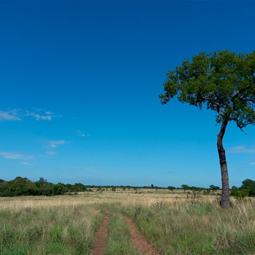 Santa-Ana---Parque-Federal-Campo-San-Juan---Damián-Lozano